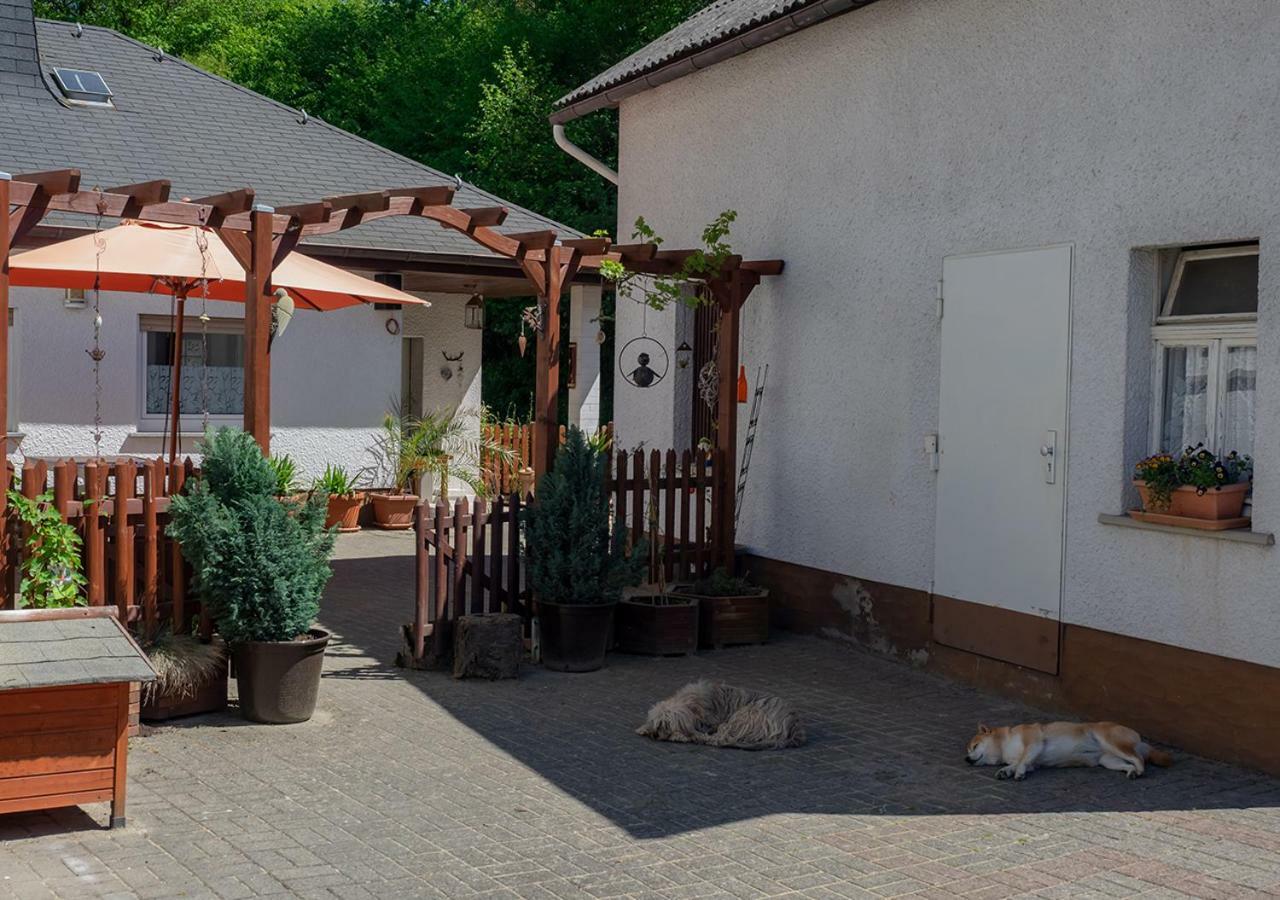 B&B Waldsolms Экстерьер фото